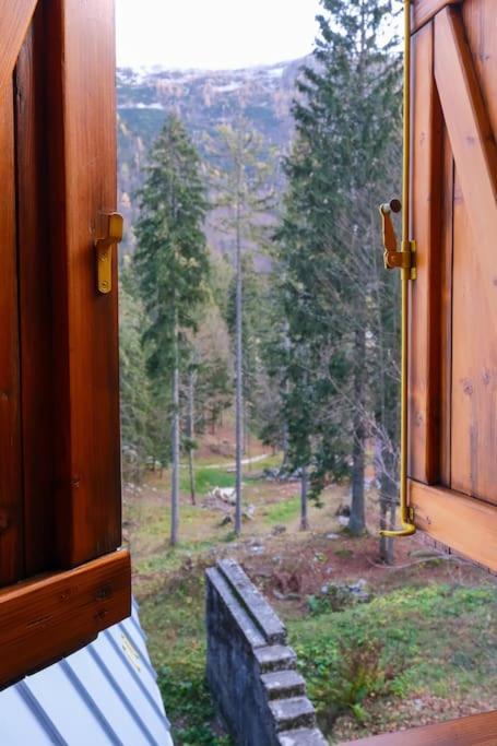 ~Chalet_Rifugio Tra I Boschi~ Sella Nevea Eksteriør bilde