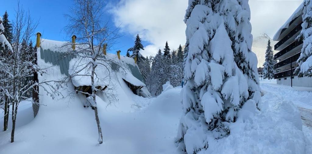 ~Chalet_Rifugio Tra I Boschi~ Sella Nevea Eksteriør bilde