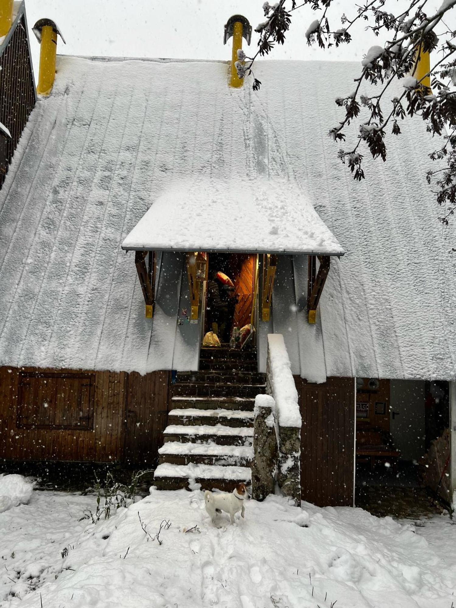 ~Chalet_Rifugio Tra I Boschi~ Sella Nevea Eksteriør bilde