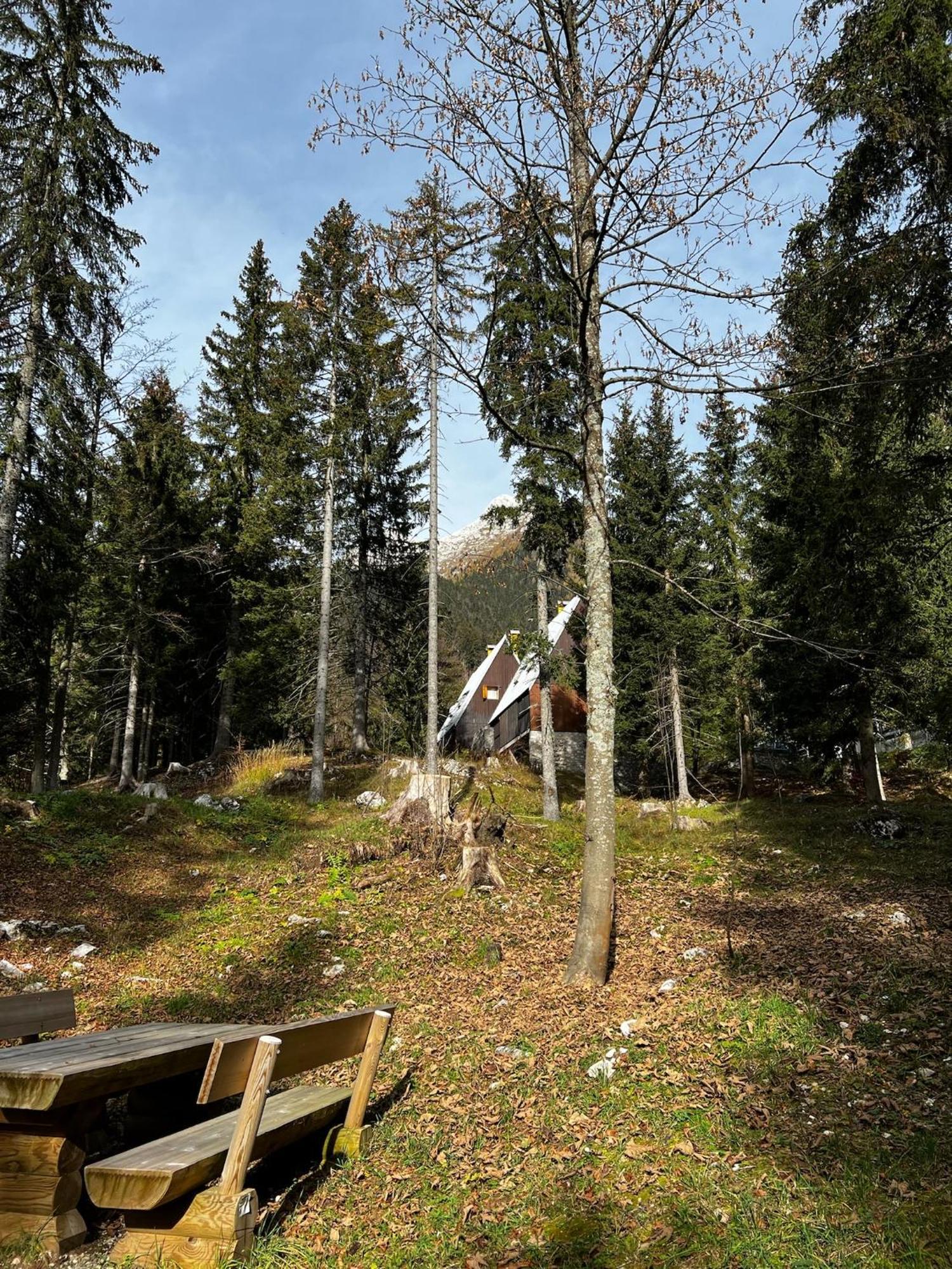 ~Chalet_Rifugio Tra I Boschi~ Sella Nevea Eksteriør bilde
