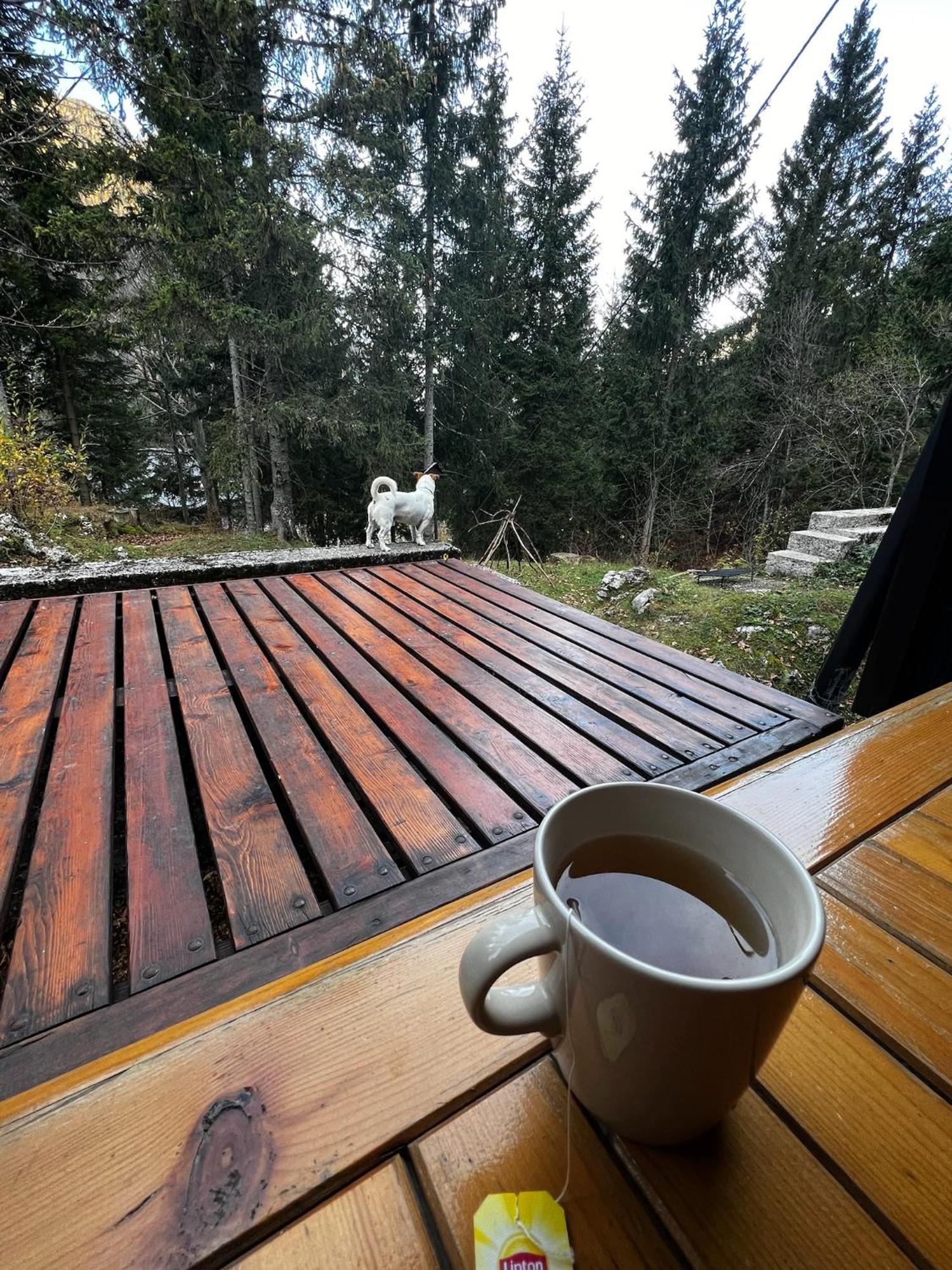 ~Chalet_Rifugio Tra I Boschi~ Sella Nevea Eksteriør bilde